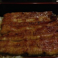 天然うなぎ しま村 - 四万十ブランドうなぎ　鰻重松