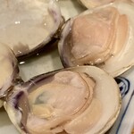 焼はまぐりる - 焼ハマグリ　カツオ出汁