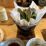 白駒荘 - 