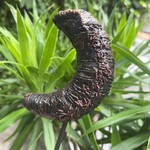 パンとエスプレッソと - 