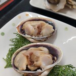 海女茶屋 じょい - 