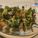 レフェルヴェソンス - 