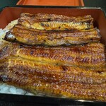 うなぎ処 駒門ひろ田 - 