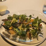 レフェルヴェソンス - 