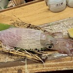 にしの鯔背 - さっきまで泳いでいたイカ