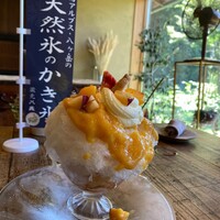 Terroir愛と胃袋 - 