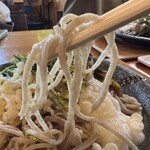 soba & coffee SATAKE - 料理写真:旨い蕎麦！