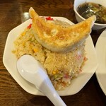 きんせい　餃子の大きさがわかる