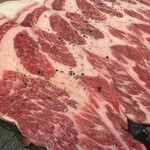 天城黒豚の店 橋本ホルモン - 