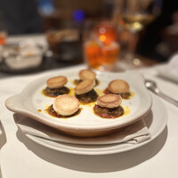 Benoit Alain Ducasse - 