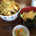 江戸家 - 仙台市営地下鉄長町南駅が最寄り駅の江戸家で昼食。
            かき揚げ丼＋小そばセットを食した。