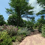 アスコットティールーム - 