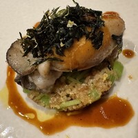 NeMo - 