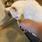 バーガーキング - 