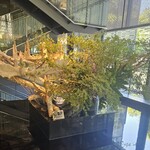 中国料理 星ヶ岡 - 