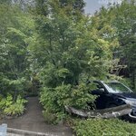 せきざわ - 外観