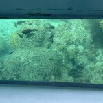 奥武島海産物食堂 - 