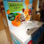 ちぼりスイーツファクトリー ミナカ小田原店 - 