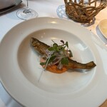 アルバロンガ - 