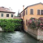 TRATTORIA ALL' OCA BIANCA - 運河の水車小屋