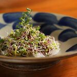 なっぱごちそう - 