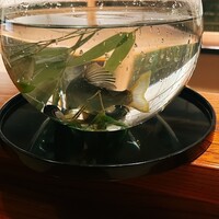 香嵐 - 