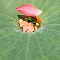香嵐 - 