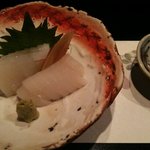 胡魯 - あおりいか造り