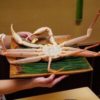 本湖月 -  本湖月 -