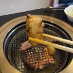 焼肉処 くらちゃん - 肉厚の上ミノ