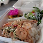CAMARON SHRIMP WAGON - 
