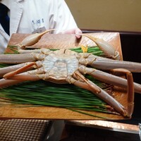 本湖月 -  本湖月 -