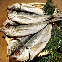 大トロアジの開き