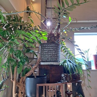 タヴェルナハンバーグ_2