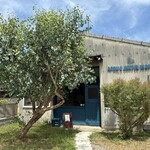 APOLLO COFFEE WORKS - 