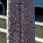 シャトレーゼ - 料理写真: