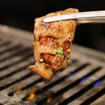 牛タンと馬肉とクリスピー餃子 ひまわり［精］ - ひまわりカルビ