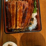 お魚食堂 こたや - うな重