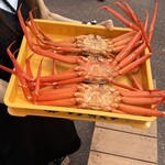 マリンドリーム能生 - 