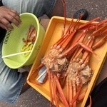 マリンドリーム能生 - 