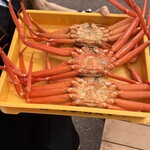 マリンドリーム能生 - 