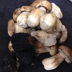 ポエシア - ポルチーニ茸とトリュフ