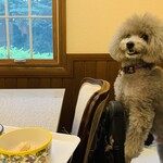 Restaurant Hamy's 가루이자와