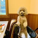 Restaurant Hamy's 가루이자와