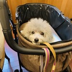 Restaurant Hamy's 가루이자와