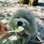 ハーベスト ナガイファーム - 