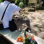 ハーベスト ナガイファーム - 野菜はづきセット400円　ミニトマト250円　レジ袋5円