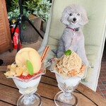 つるとんたん UDON NOODLE Brasserie - 