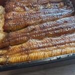 田口屋 - フワッと柔らかく美味しい新仔の鰻