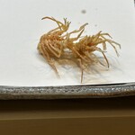 てんぷら天松 日本橋店 - 